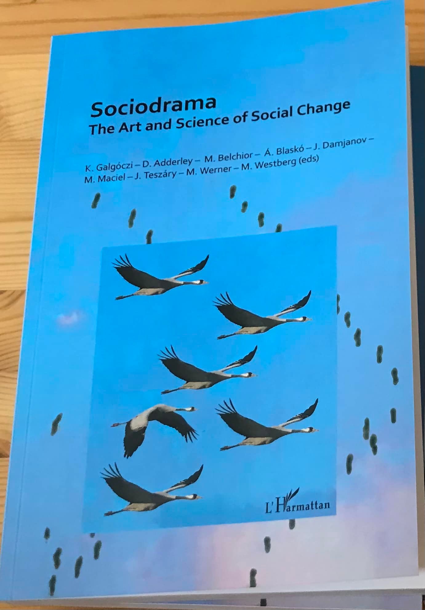 SociodramaBook